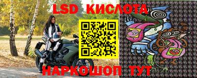 шишки Беслан