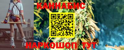 шишки Беслан