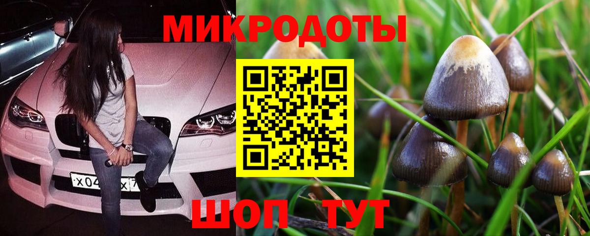 Апрелевка  Псилоцибиновые грибы Psilocybe  Вход с VPN 
